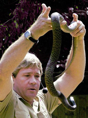 Steve Irwin Snake Handling