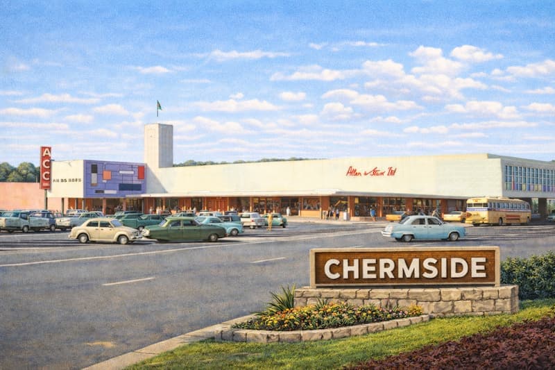 Snake catcher in Chermside Queensland