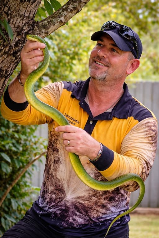 Common tree snake in Brisbane garden