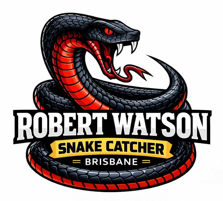 Robert Watson - Professional Licensed Snake Catcher Brisbane North