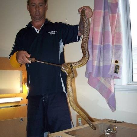 Rob handling a carpet python